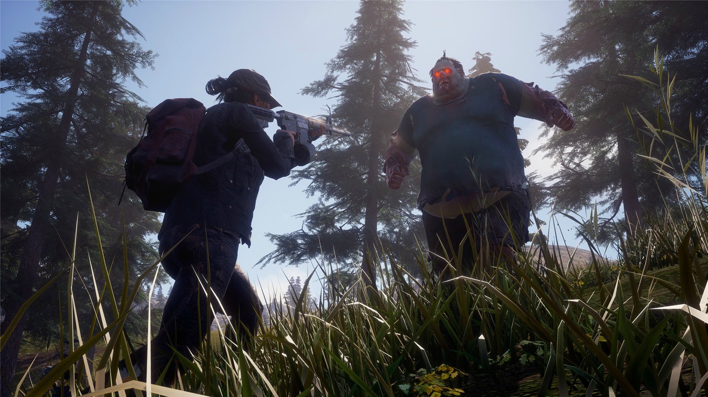 腐烂国度2:主宰巨霸版/State of Decay 2: Juggernaut Edition插图4